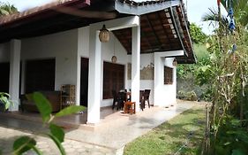 Coco Mango Hostel